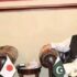 Sajid Hussain Turi meets Wakako Sakurai, Pakistan-Japan cooperation discussed