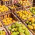 Chinese team discusses prospects of importing mangoes from Sindh