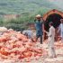 Leading American company to invest $200 million in Pink Salt industry in Pakistan