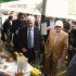 Pakistan and Italy are working jointly for the development of the olive sector