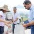 Pakistani and Chinese scientists make huge progress cultivating Honglian type hybrid rice in high-temperature conditions