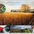 Sino-Pak Joint Diploma in Modern Agricultural Technology expected to further strengthen Pakistan-China agricultural relations