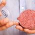 Italy enacts ban on lab-produced meat