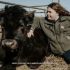 Feeling stressed? Cuddle a cow, says UK dairy farm
