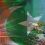 CPEC projects safe and secure: Pakistan