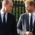 Prince William making ‘careful’ plans ahead of Prince Harry’s UK return