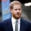 Prince Harry breaks silence as UK plans face unexpected setback