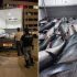 Italy: Fewer fish and more rules lead to illegal catches, say fishers