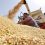China expected to achieve higher grain output in 2025