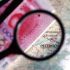 Cracking the case on Chinese underground banking in Italy