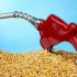 EU imposes measures to curb ethanol imports from Pakistan
