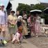 Pet-friendly travel surges in China as pet economy booms