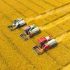 Henan completes summer sowing, autumn grain area steady above 76m mu