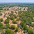 Xi Jinping drives China’s relentless fight against desertification
