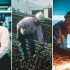 Greece Urgently Needs 360,000 Workers From All Over the World