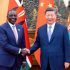 China, Africa working together toward dream of modernization