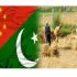 China, Punjab agricultural synergy aims to launch ‘new green revolution’
