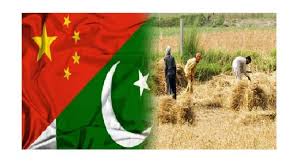 China, Punjab