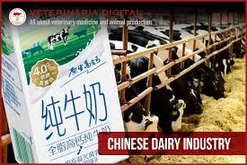 China’s dairy
