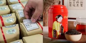 China's first concept