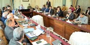PM forms committee