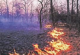 Wildfires rage