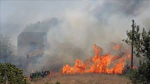 Wildfires scorch Sicily