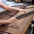 Passion for traditional zither grows in central China’s once barren land