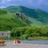 China completes property rights registration for 5 national parks