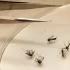 Ten deaths reported from West Nile virus in Italy since the start of the year