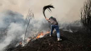 Wildfires in Portugal