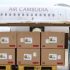 First air shipment of Cambodian durians arrives in Henan