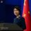 Sino-Pak frequent high-level exchanges distinctive feature of bilateral ties: Mao Ning