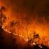 Global Surge in Wildfires Rings Alarm Bells for Pakistan’s Climate Future