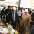 Pakistan, Italy join hands to promote olive cultivation