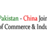 Digital collaboration with China to transform Pakistan into regional tech hub: PCJCCI